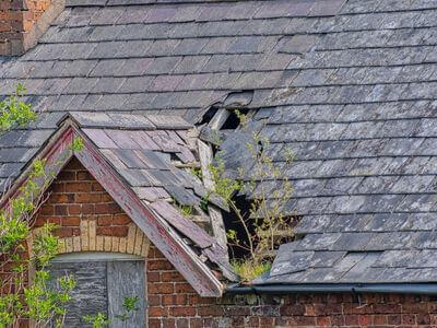 Professional storm damage restoration services in Anderson - water damage restoration service